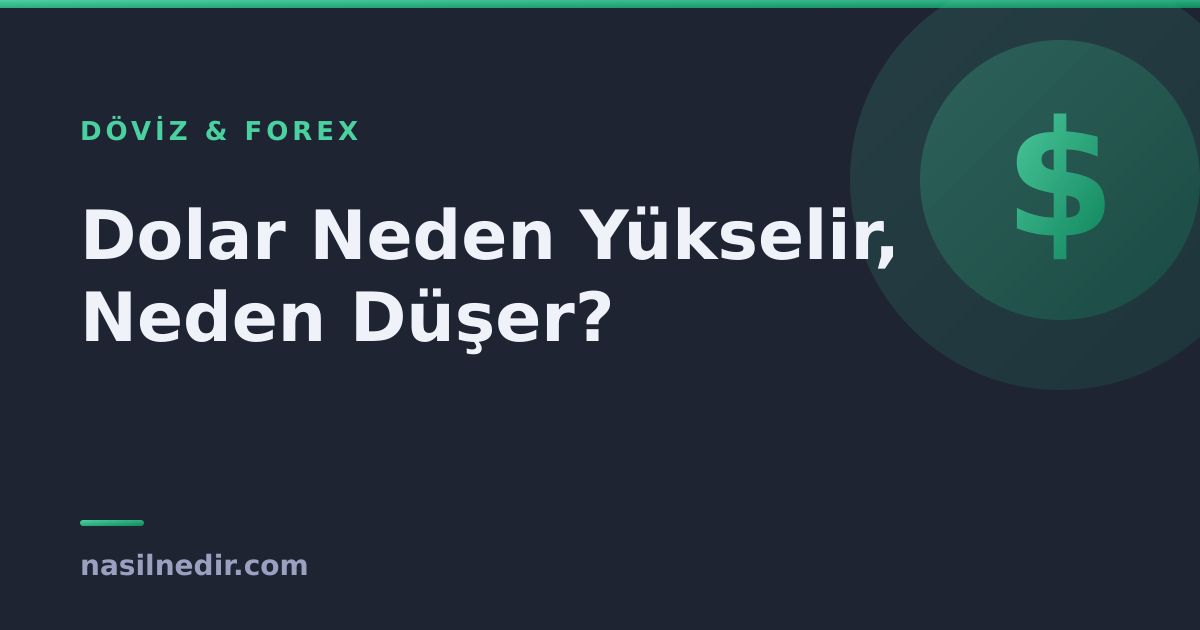 dolar-neden-yukselir.png