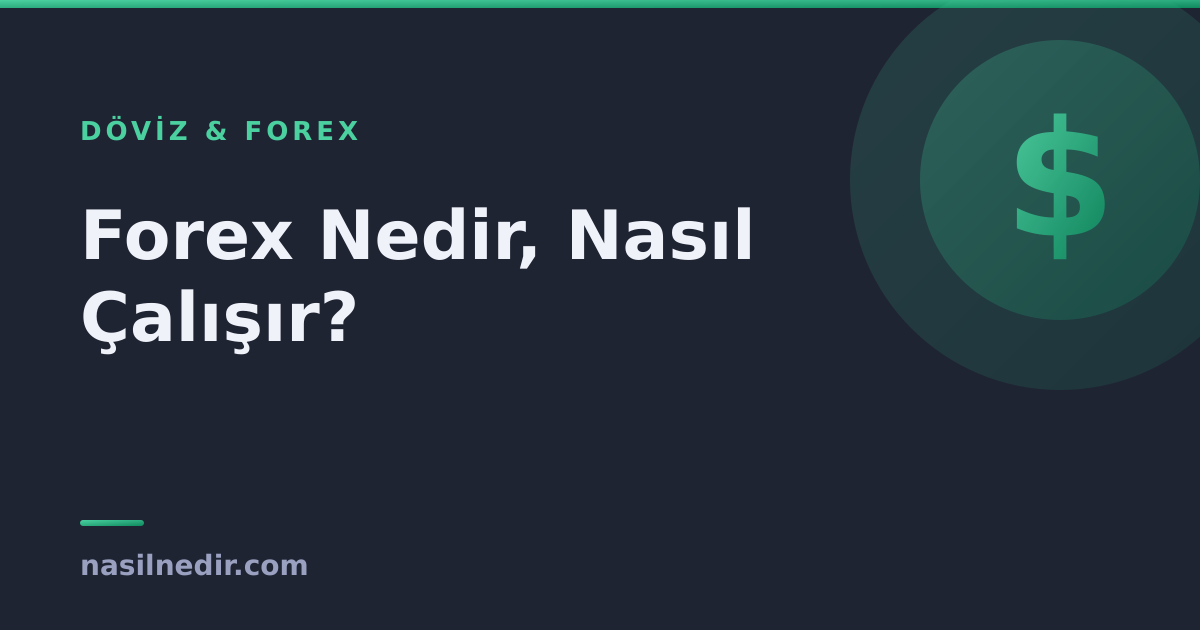 forex-nedir-nasil.png