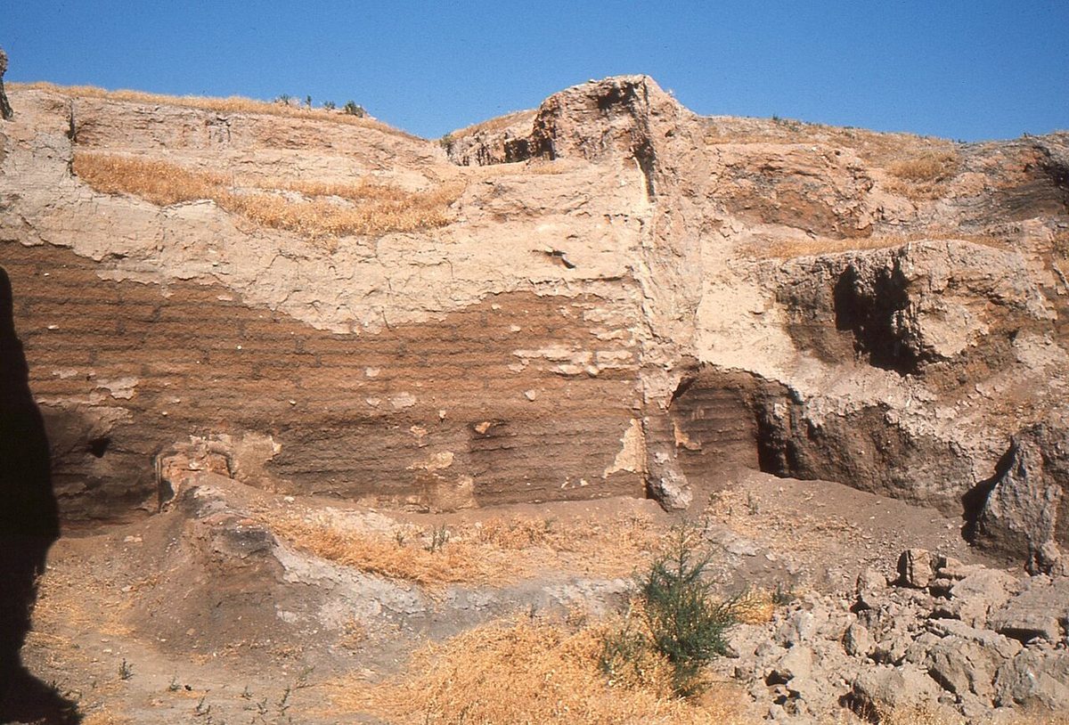 Çatalhöyük: Neolitik Çağın Ünlü Yerleşimi, Damdan Girilen Evleri ve Duvar Resimleri