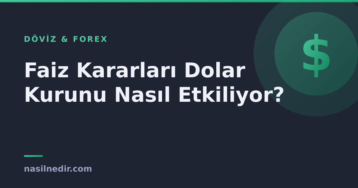 tcmb-faiz-karari-doviz.png